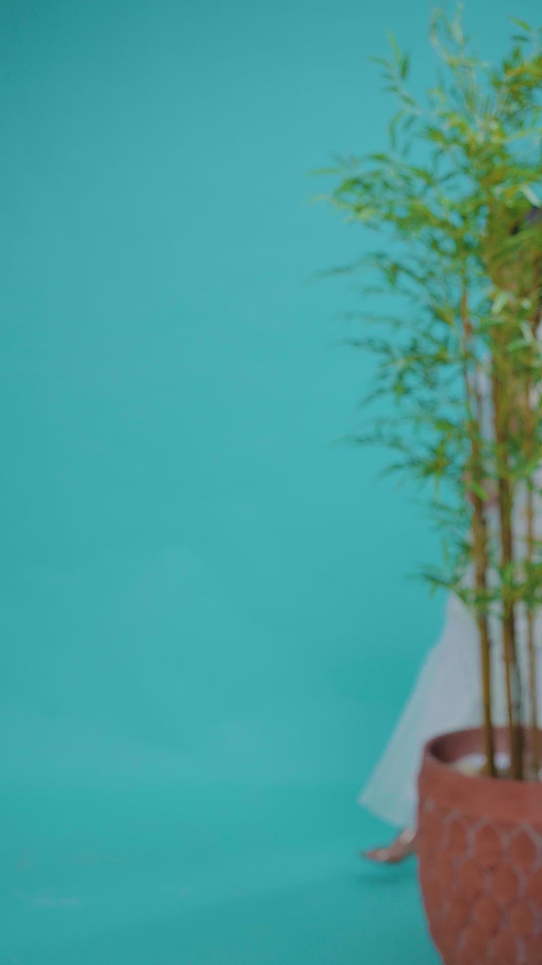 White Faux Georgette Embroidered Sharara suit with Dupatta